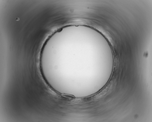 X0000103411477200810031235