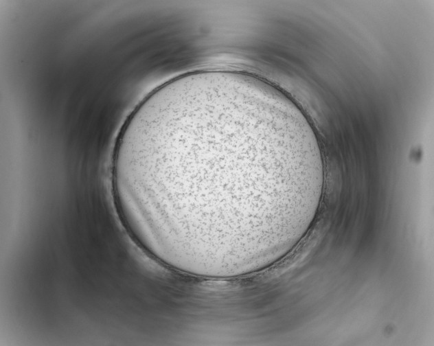 X0000103411478200810031235