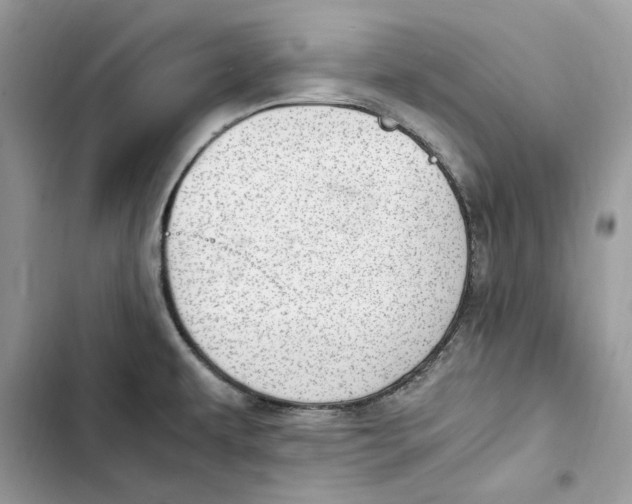 X0000103411479200810031235