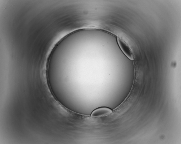 X0000103411480200810031235