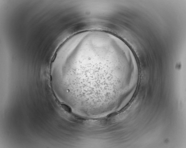 X0000103411481200810031235