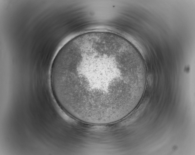 X0000103411482200810031235