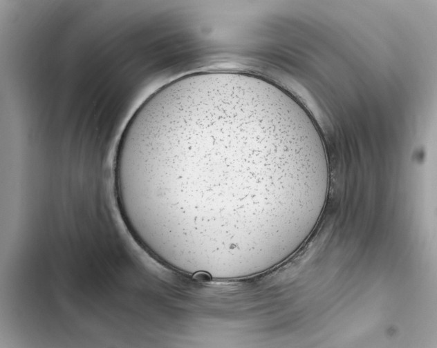 X0000103411483200810031235