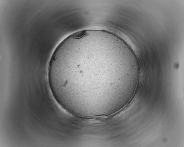 X0000103411484200810031235