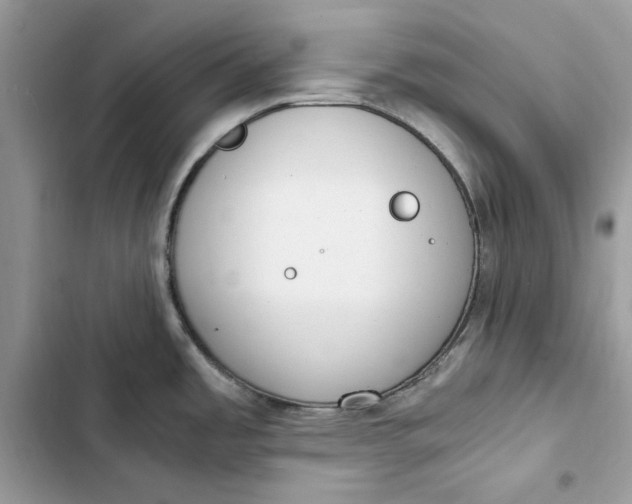 X0000103411485200810031235