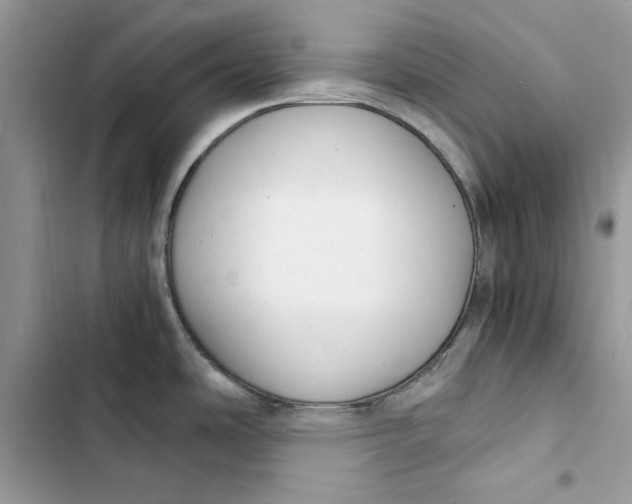 X0000103411486200810031235