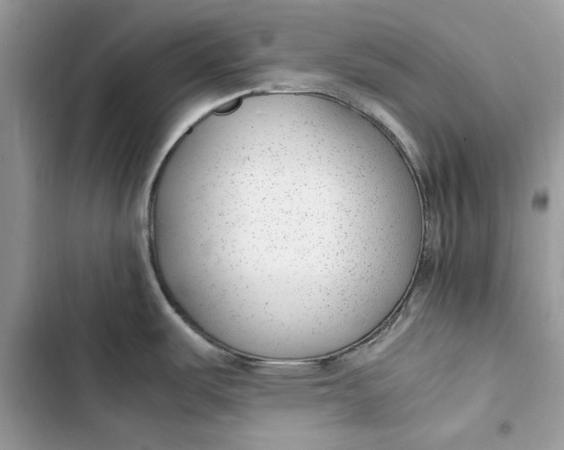 X0000103411487200810031235