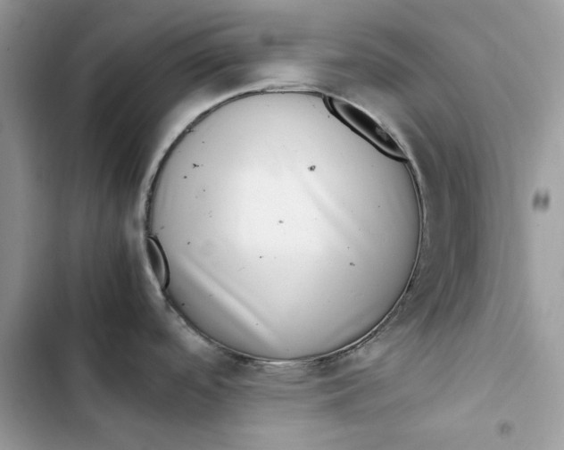 X0000103411488200810031235