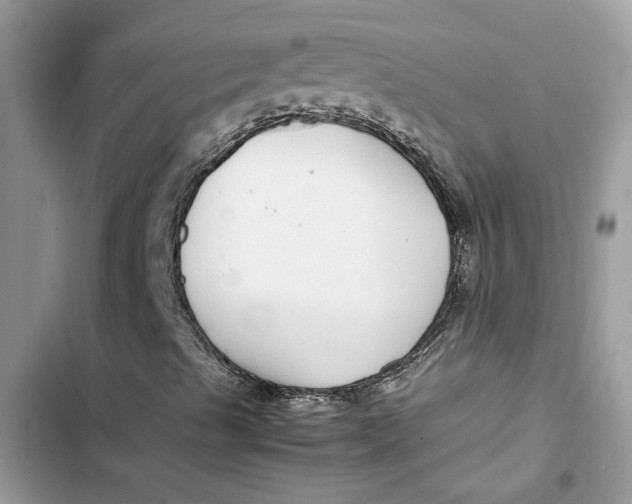 X0000103411489200810031234