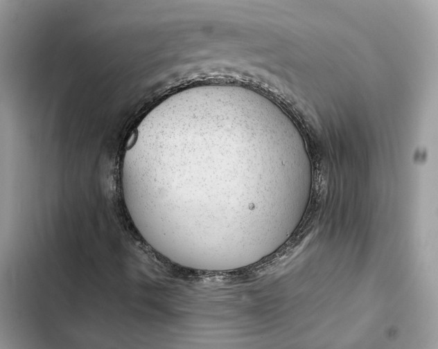 X0000103411490200810031234