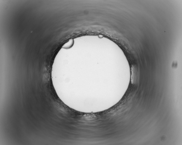 X0000103411491200810031234