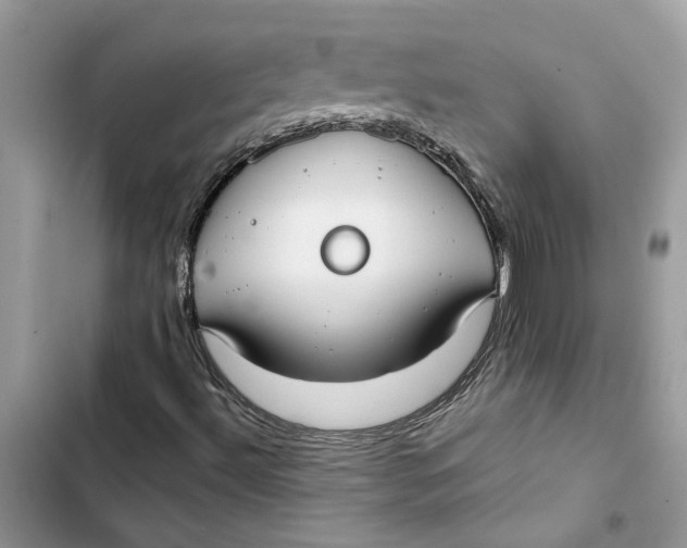 X0000103411492200810031234