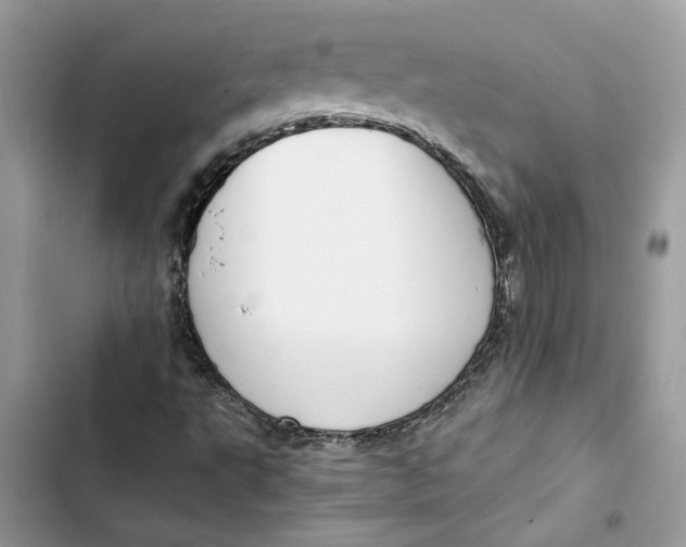 X0000103411495200810031234