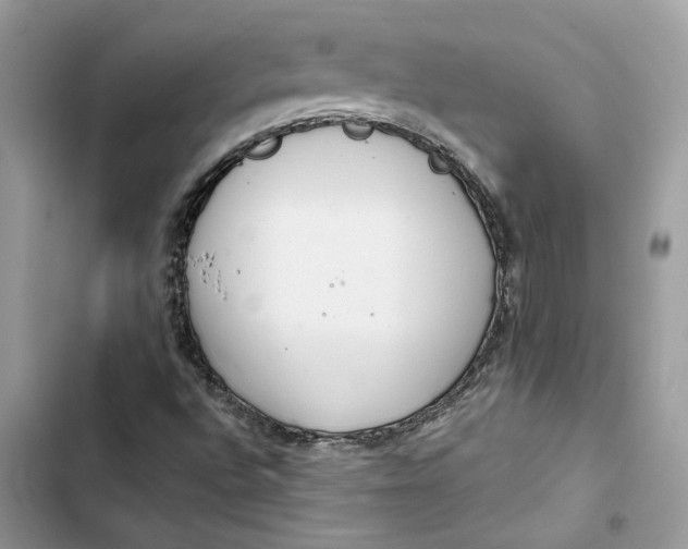 X0000103411496200810031234