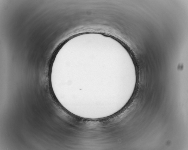 X0000103411498200810031234