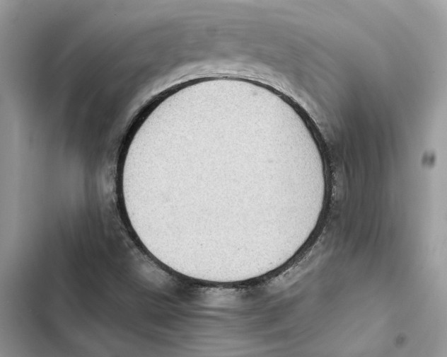 X0000103411499200810031234