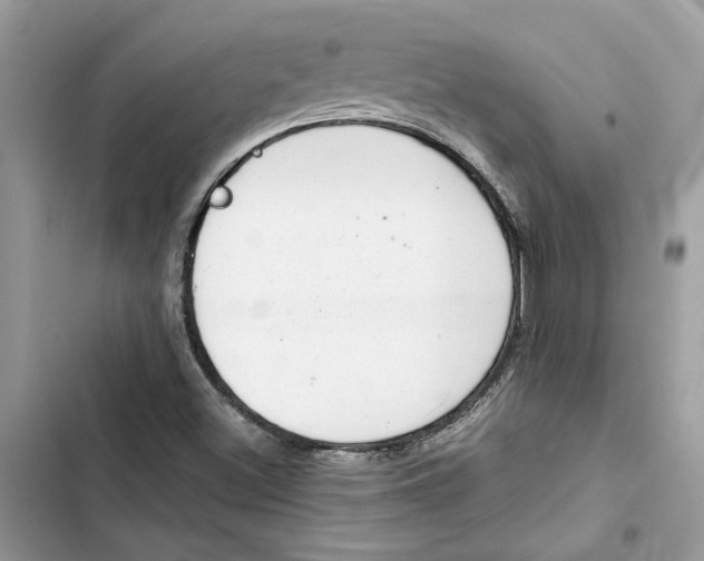 X0000103411500200810031234