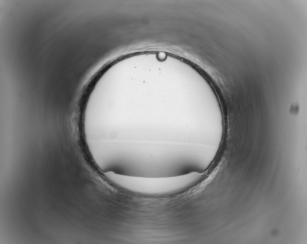 X0000103411502200810031234