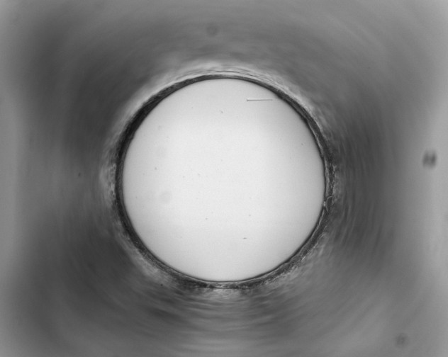 X0000103411503200810031234