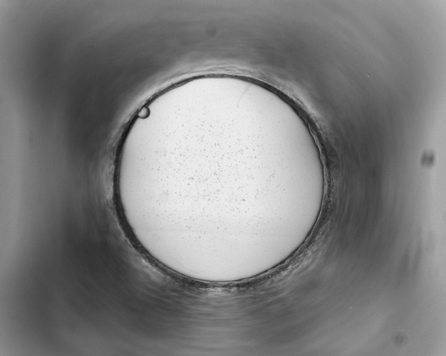 X0000103411504200810031235