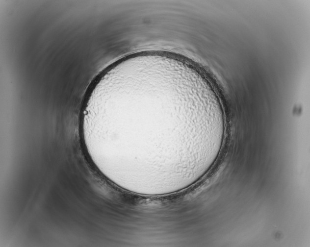 X0000103411505200810031235