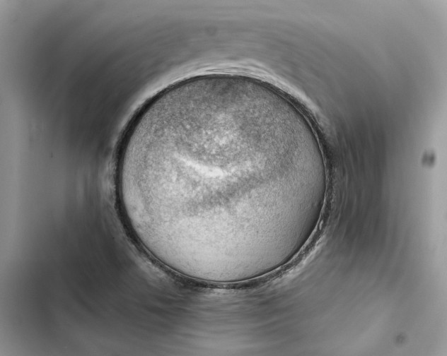 X0000103411506200810031235