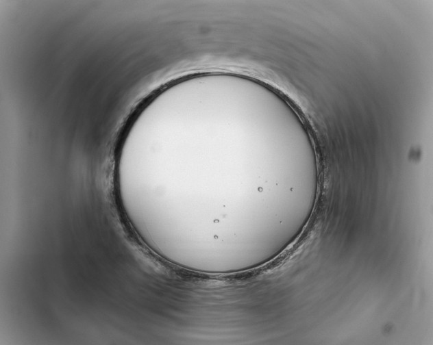 X0000103411507200810031235