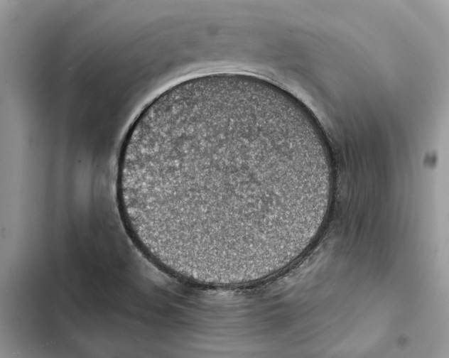 X0000103411508200810031235