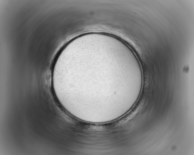 X0000103411509200810031235