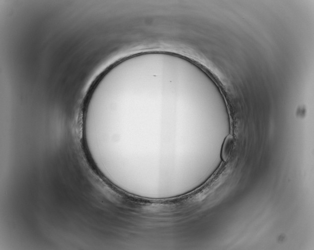 X0000103411510200810031235