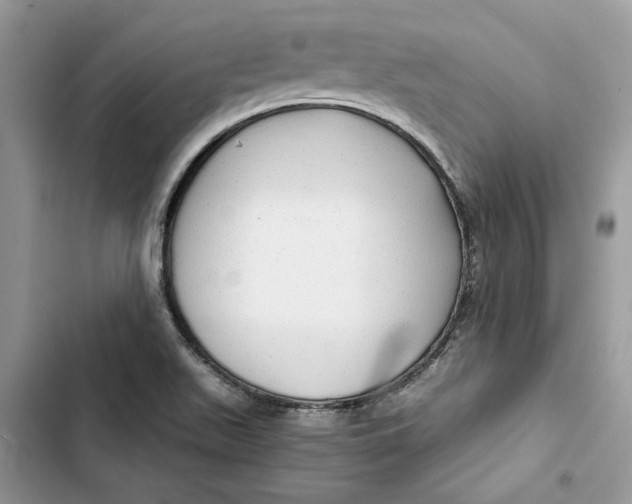 X0000103411511200810031235