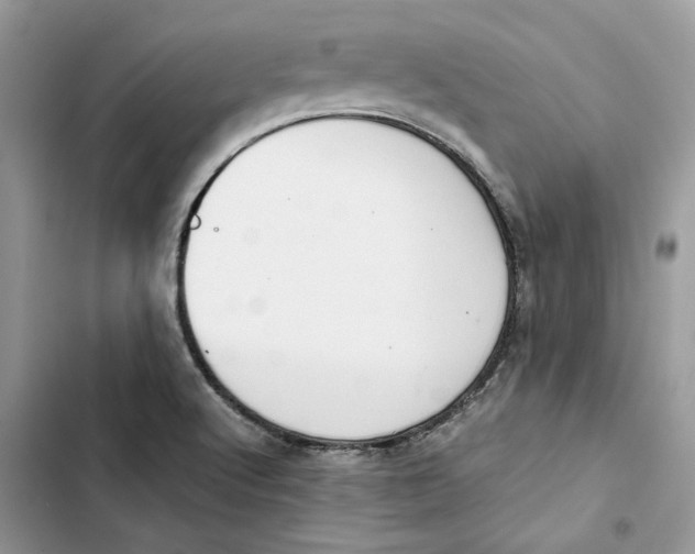 X0000103411512200810031235