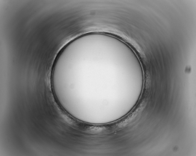 X0000103411513200810031235