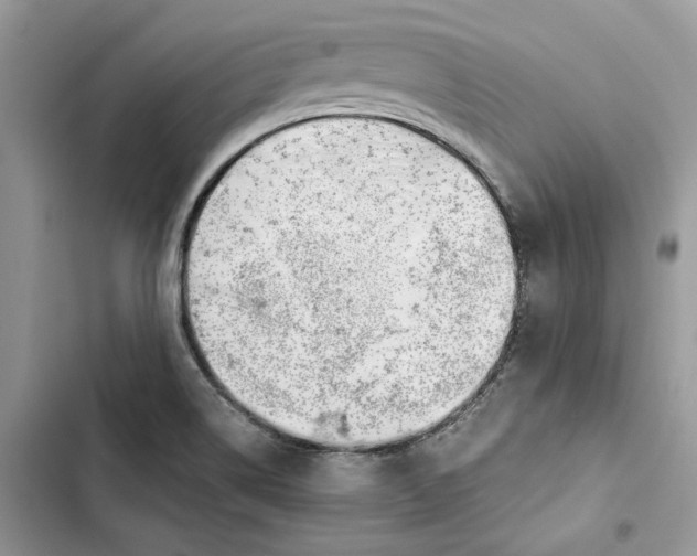 X0000103411514200810031235