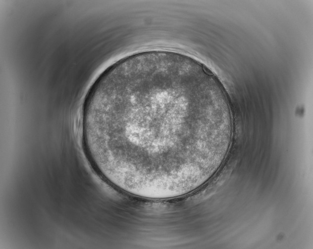 X0000103411515200810031235