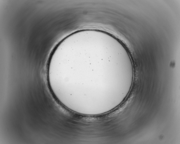 X0000103411517200810031235