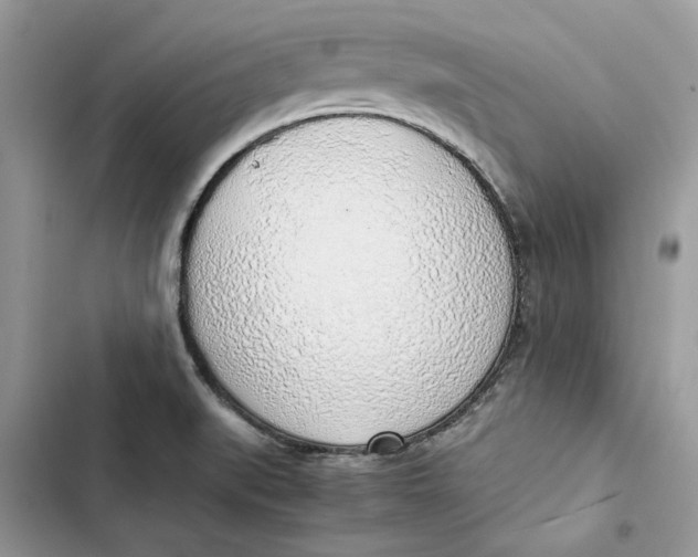 X0000103411519200810031235