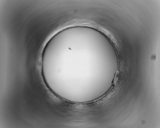 X0000103411520200810031235