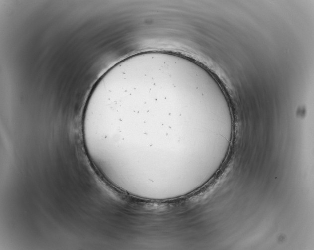 X0000103411521200810031235