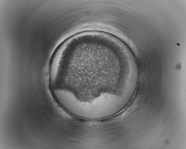 X0000103411522200810031235