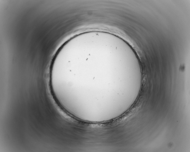 X0000103411523200810031235