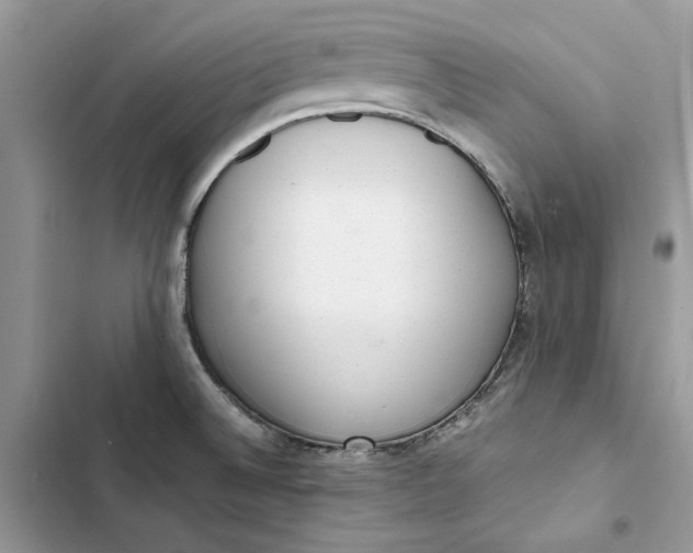 X0000103411524200810031235