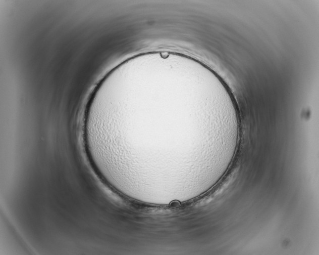 X0000103411525200810031235