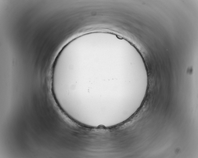 X0000103411526200810031235