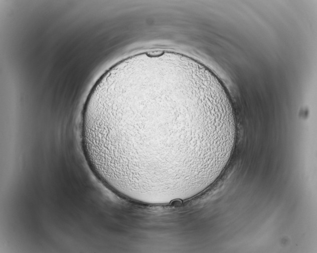 X0000103411527200810031235