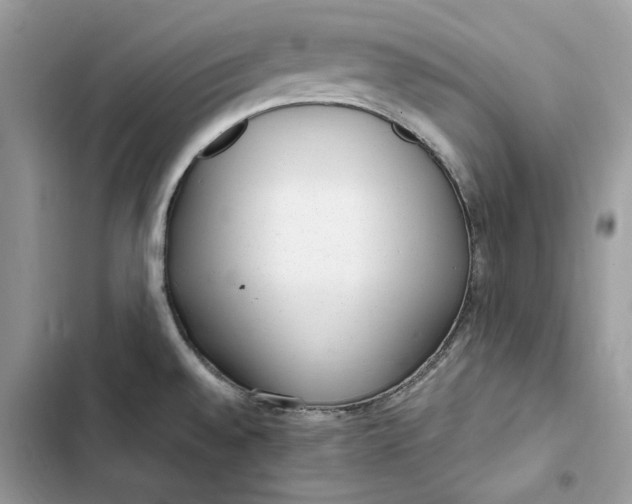 X0000103411528200810031235