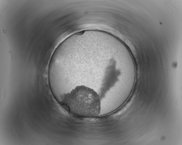 X0000103411529200810031235