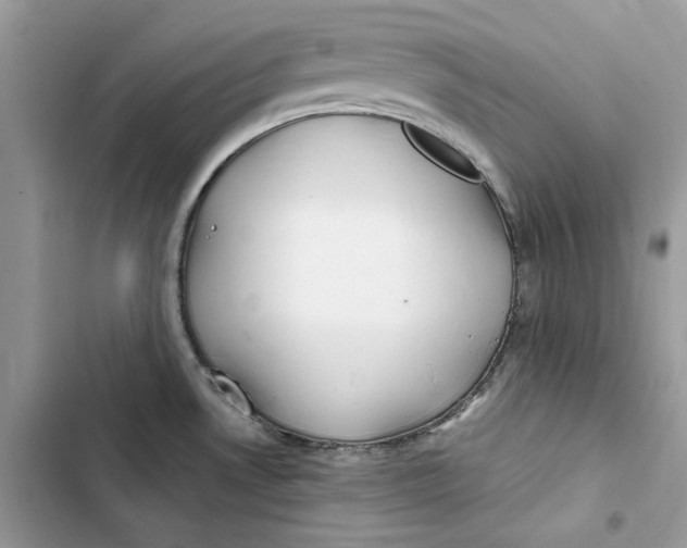 X0000103411530200810031235