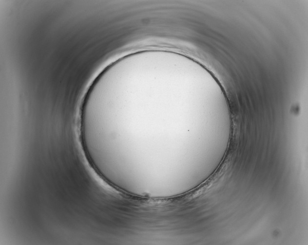 X0000103411531200810031235