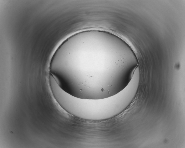 X0000103411532200810031235